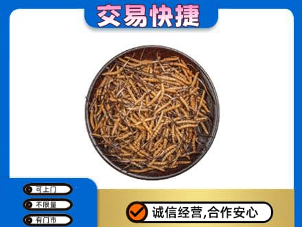 东莞石龙镇回收散虫草